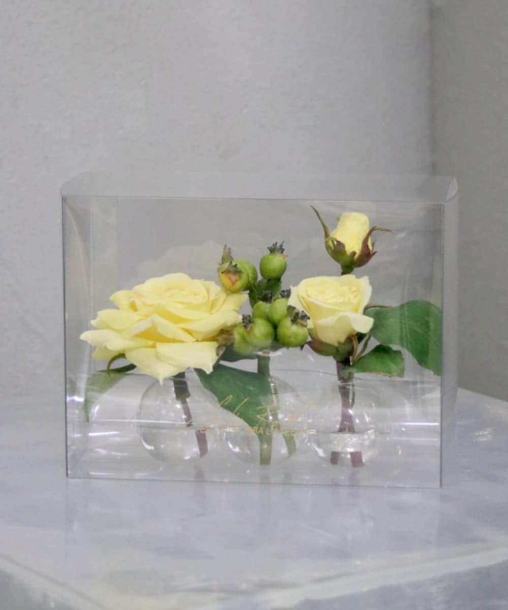 TTNTA31080 EMILIO ROBBA(エミリオ ロバ) プリマローズye-3W その他