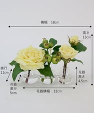 TTNTA31080 EMILIO ROBBA(エミリオ ロバ) プリマローズye-3W その他