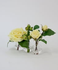 TTNTA31080 EMILIO ROBBA(エミリオ ロバ) プリマローズye-3W その他