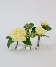 TTNTA31080 EMILIO ROBBA(エミリオ ロバ) プリマローズye-3W その他