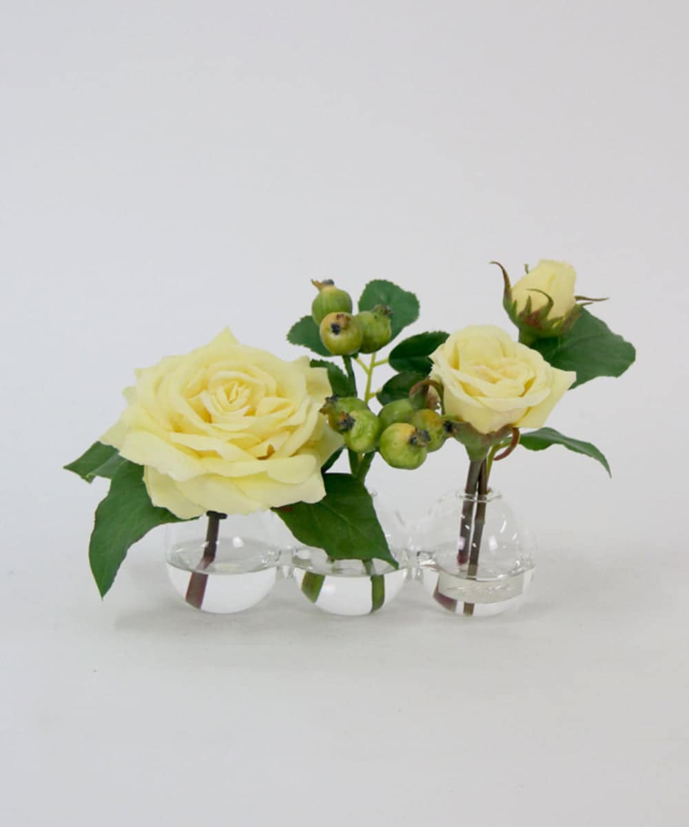 TTNTA31080 EMILIO ROBBA(エミリオ ロバ) プリマローズye-3W その他