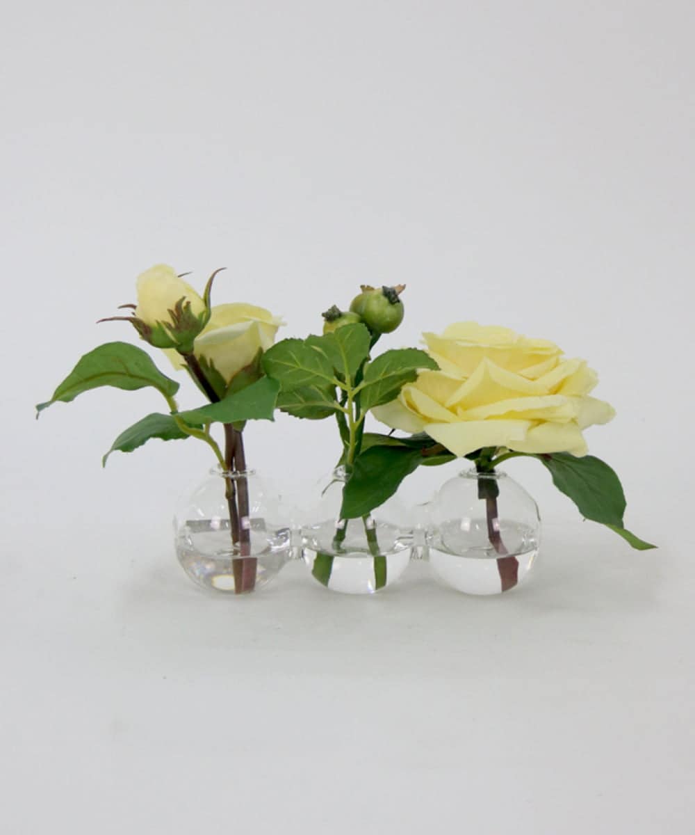 TTNTA31080 EMILIO ROBBA(エミリオ ロバ) プリマローズye-3W その他