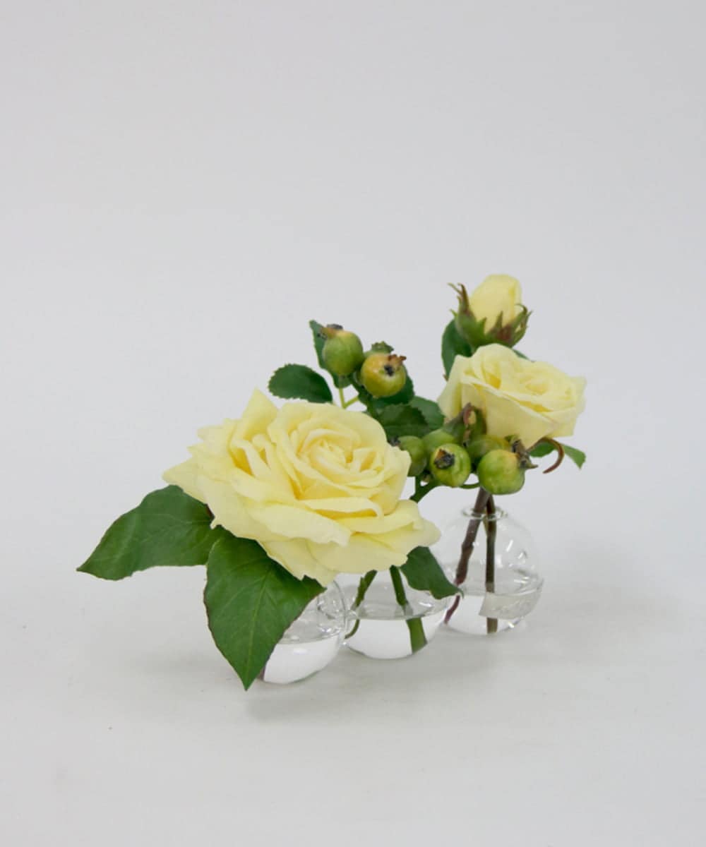 TTNTA31080 EMILIO ROBBA(エミリオ ロバ) プリマローズye-3W その他