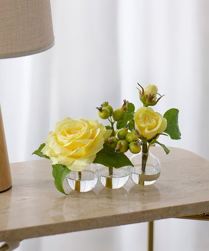 TTNTA31080  プリマローズye-3W