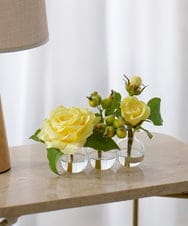 TTNTA31080 EMILIO ROBBA(エミリオ ロバ) プリマローズye-3W その他