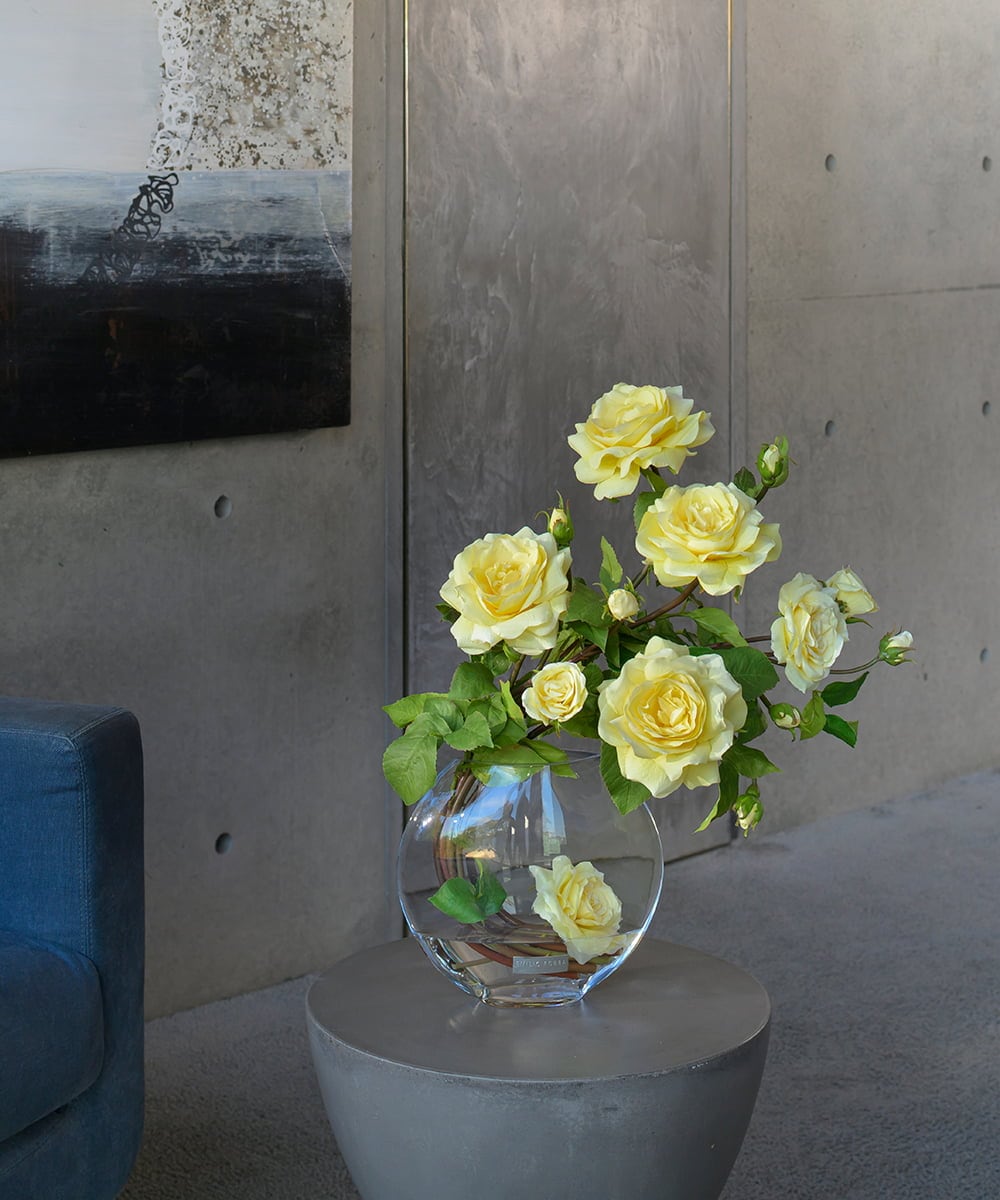 TTNTA33300 EMILIO ROBBA(エミリオ ロバ) プリマローズye-3L その他