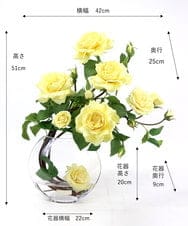 TTNTA33300 EMILIO ROBBA(エミリオ ロバ) プリマローズye-3L その他