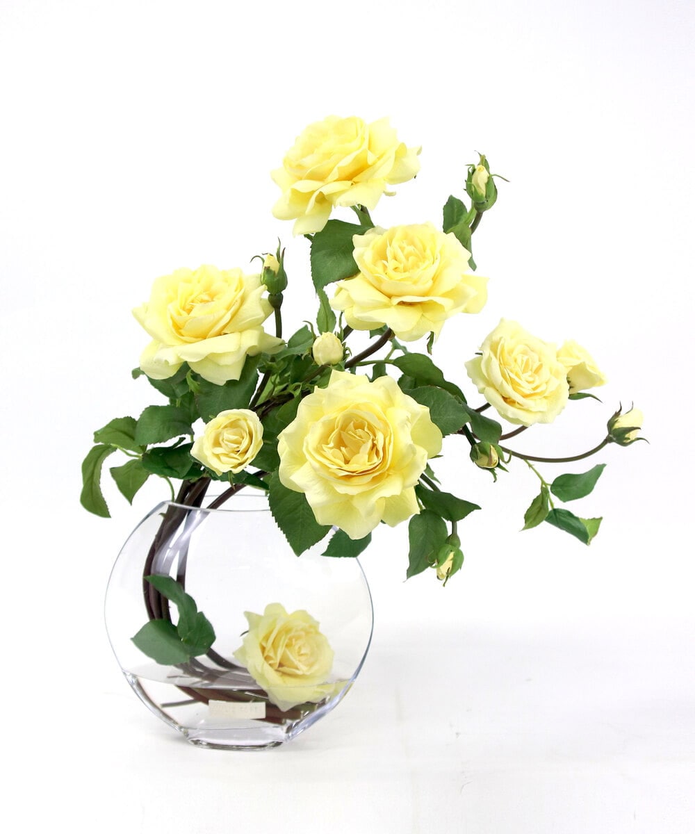 TTNTA33300 EMILIO ROBBA(エミリオ ロバ) プリマローズye-3L その他