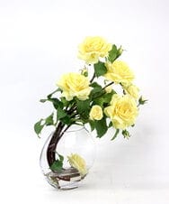 TTNTA33300 EMILIO ROBBA(エミリオ ロバ) プリマローズye-3L その他