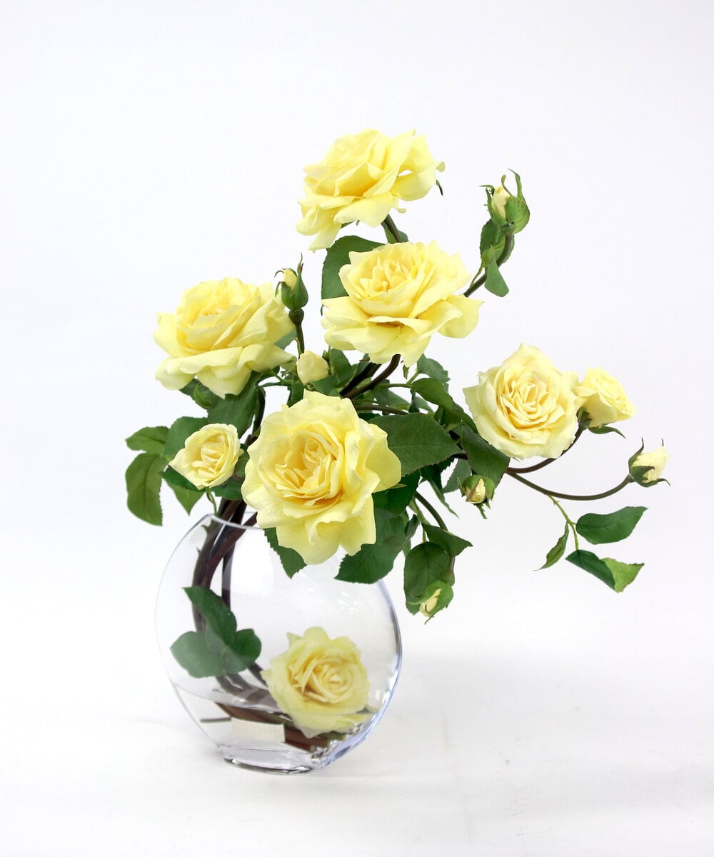 TTNTA33300 EMILIO ROBBA(エミリオ ロバ) プリマローズye-3L その他