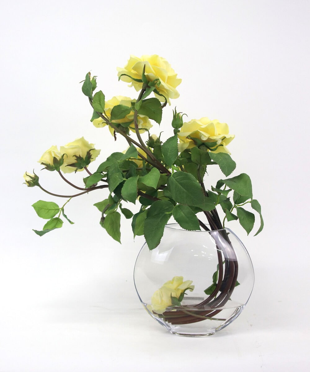 TTNTA33300 EMILIO ROBBA(エミリオ ロバ) プリマローズye-3L その他