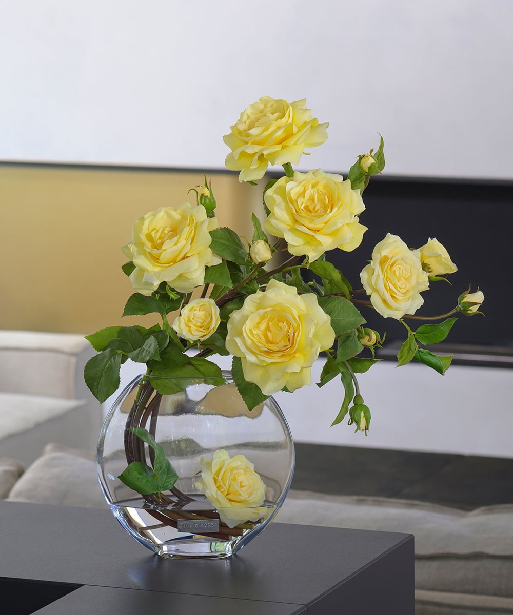 TTNTA33300 EMILIO ROBBA プリマローズye-3L