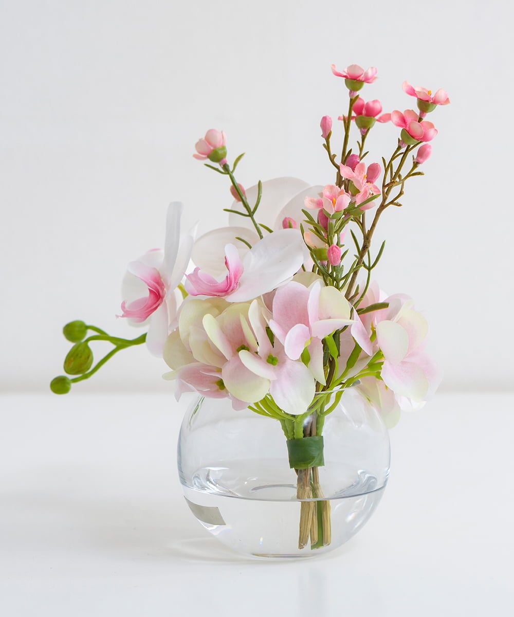 TTNTA50120 EMILIO ROBBA(エミリオ ロバ) ファレノプシスリップピンクS その他