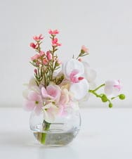 TTNTA50120 EMILIO ROBBA(エミリオ ロバ) ファレノプシスリップピンクS その他