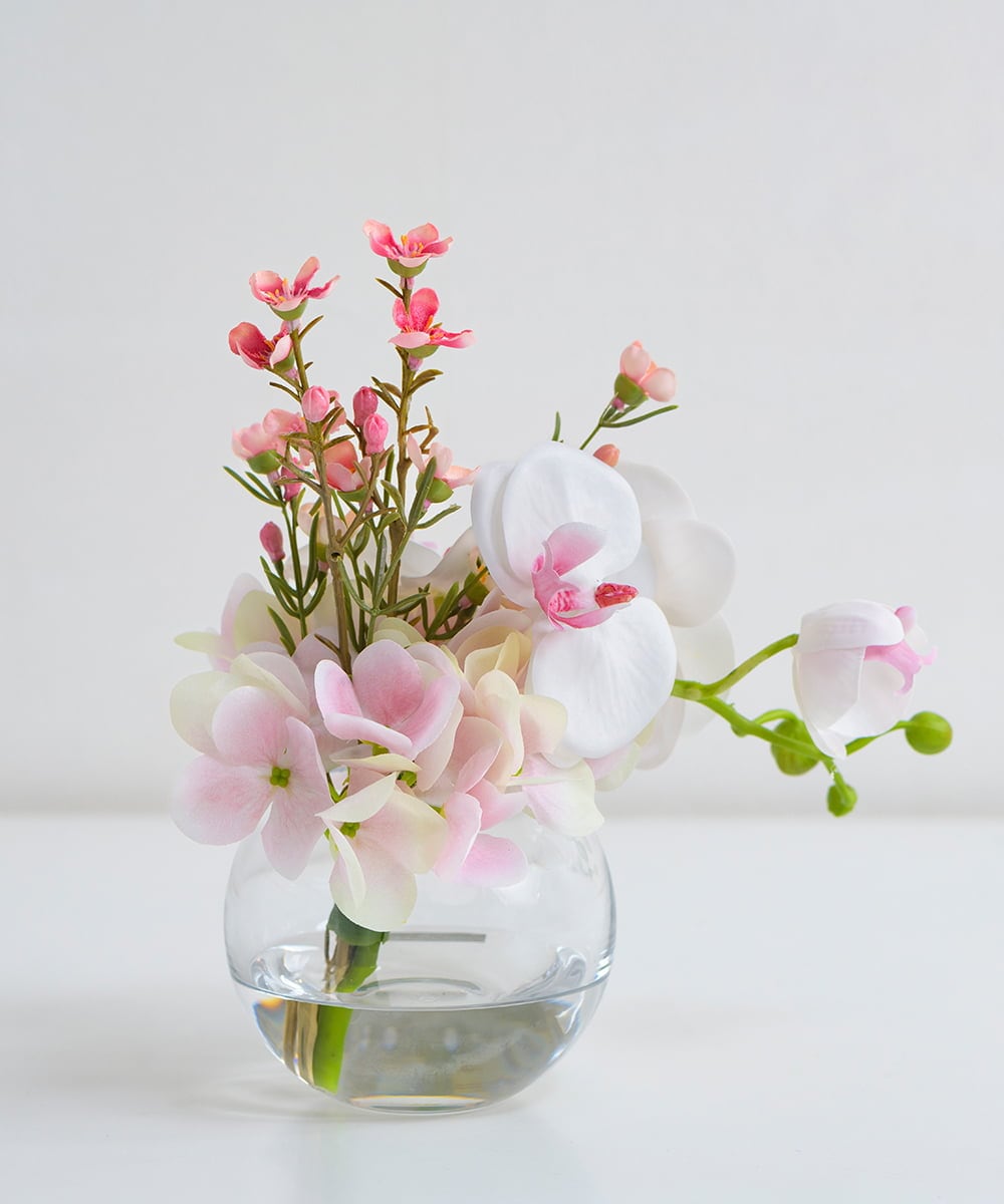 TTNTA50120 EMILIO ROBBA(エミリオ ロバ) ファレノプシスリップピンクS その他