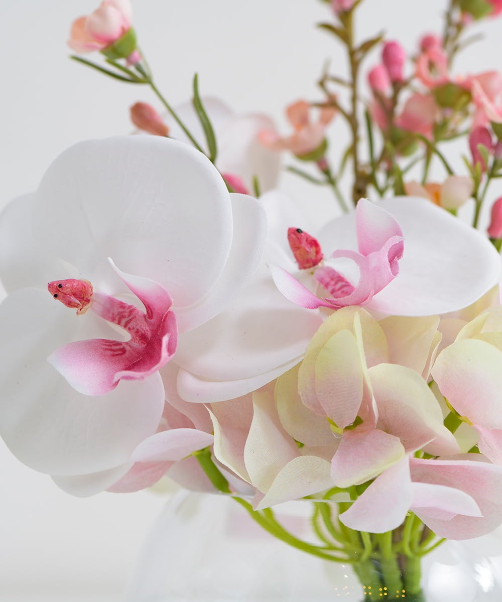 TTNTA50120 EMILIO ROBBA(エミリオ ロバ) ファレノプシスリップピンクS その他