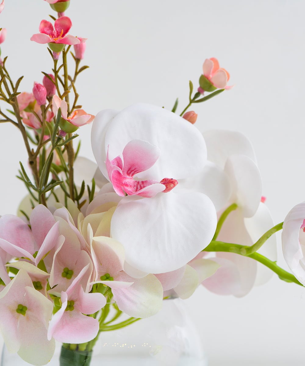 TTNTA50120 EMILIO ROBBA(エミリオ ロバ) ファレノプシスリップピンクS その他