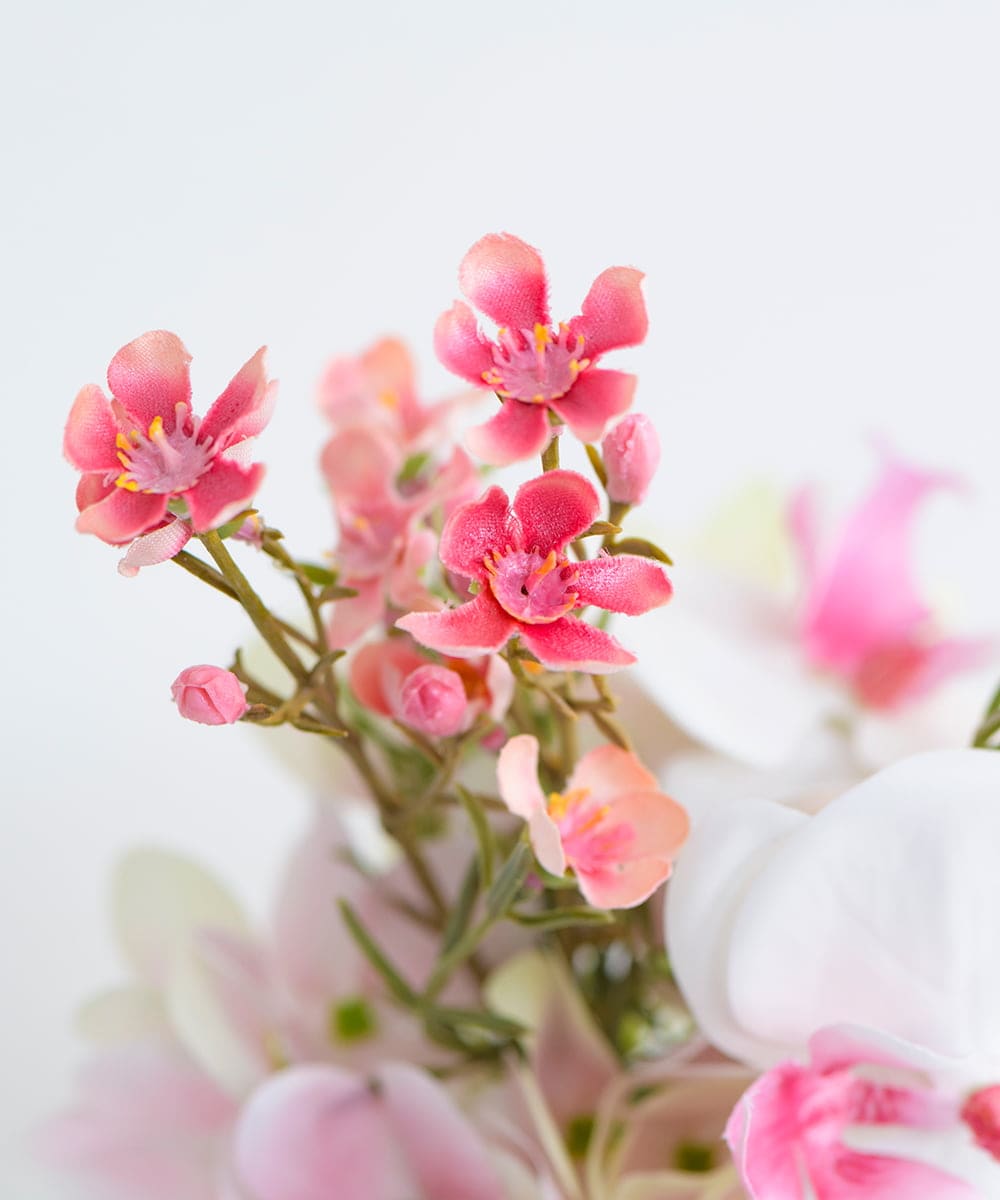 TTNTA50120 EMILIO ROBBA(エミリオ ロバ) ファレノプシスリップピンクS その他