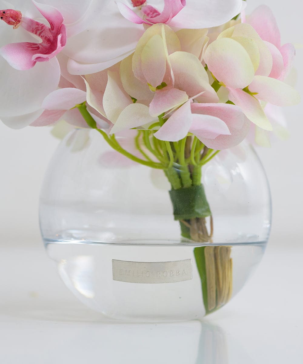 TTNTA50120 EMILIO ROBBA(エミリオ ロバ) ファレノプシスリップピンクS その他