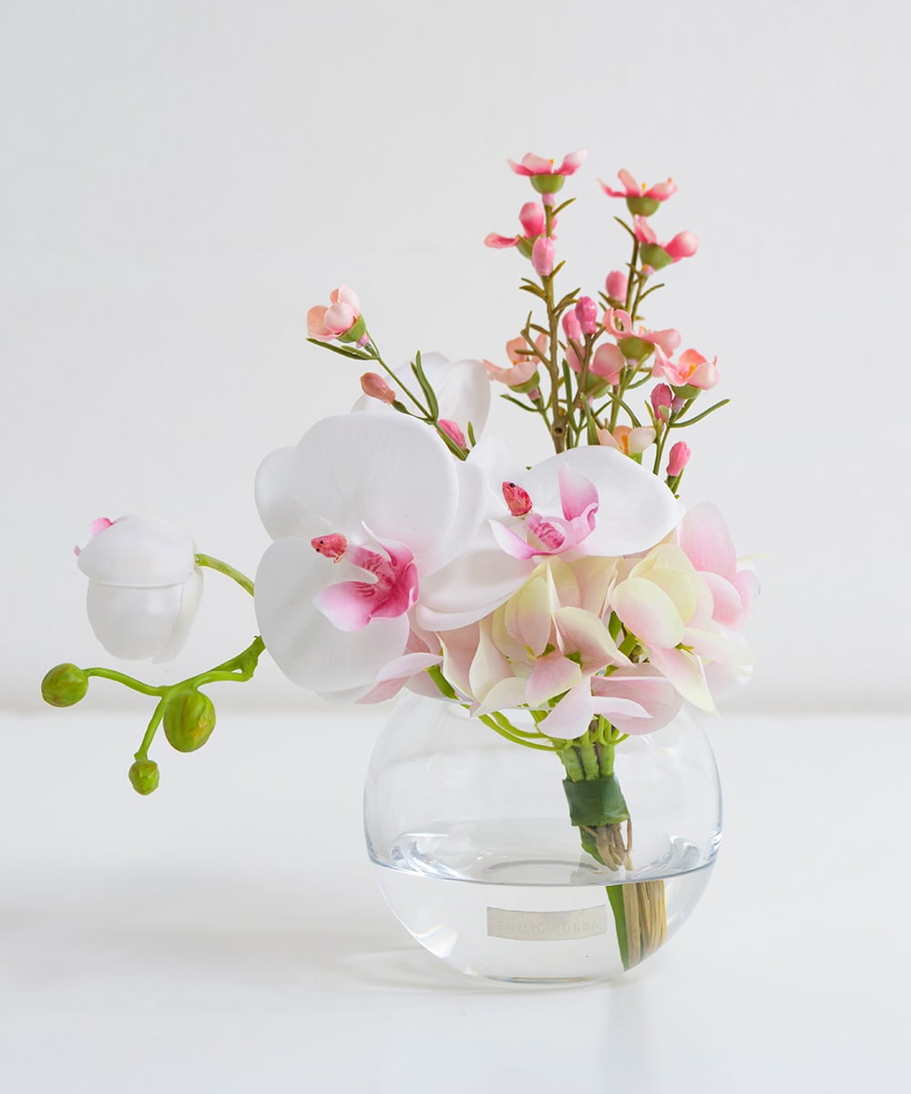 TTNTA50120 EMILIO ROBBA(エミリオ ロバ) ファレノプシスリップピンクS その他