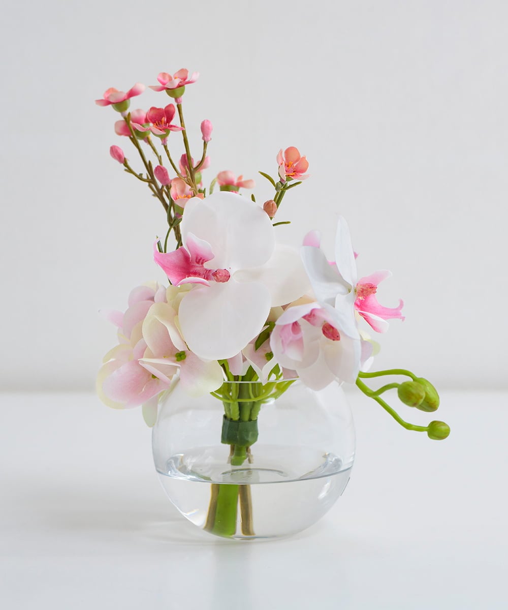 TTNTA50120 EMILIO ROBBA(エミリオ ロバ) ファレノプシスリップピンクS その他