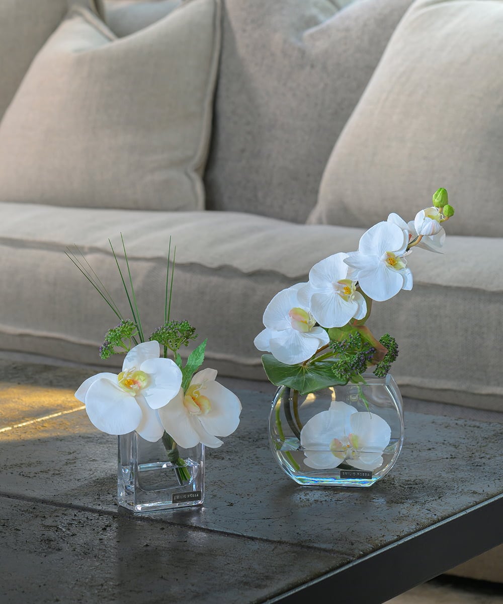 TTNTA51050 EMILIO ROBBA(エミリオ ロバ) ファレノプシスXS その他