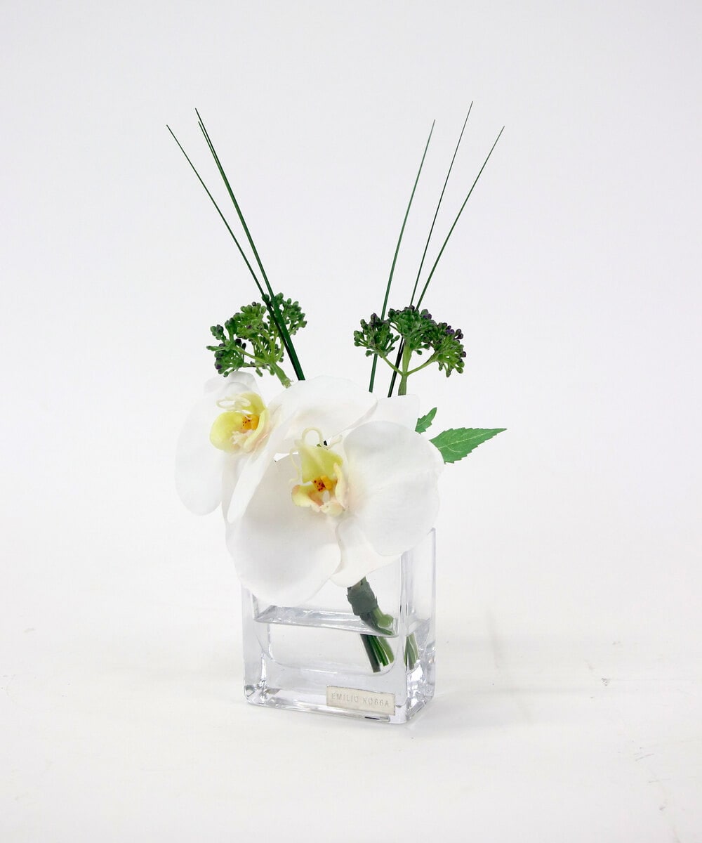 TTNTA51050 EMILIO ROBBA(エミリオ ロバ) ファレノプシスXS その他