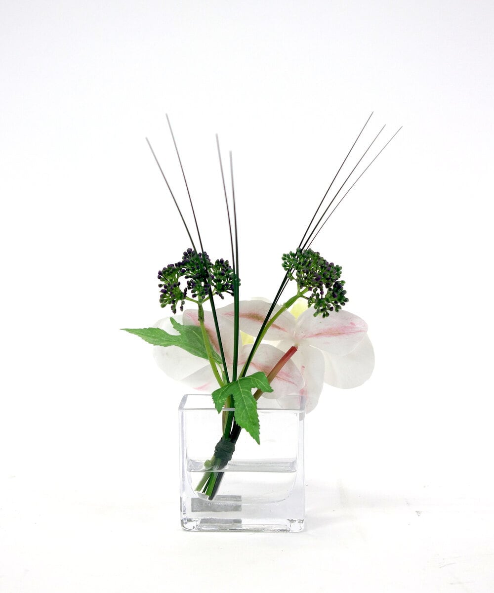 TTNTA51050 EMILIO ROBBA(エミリオ ロバ) ファレノプシスXS その他