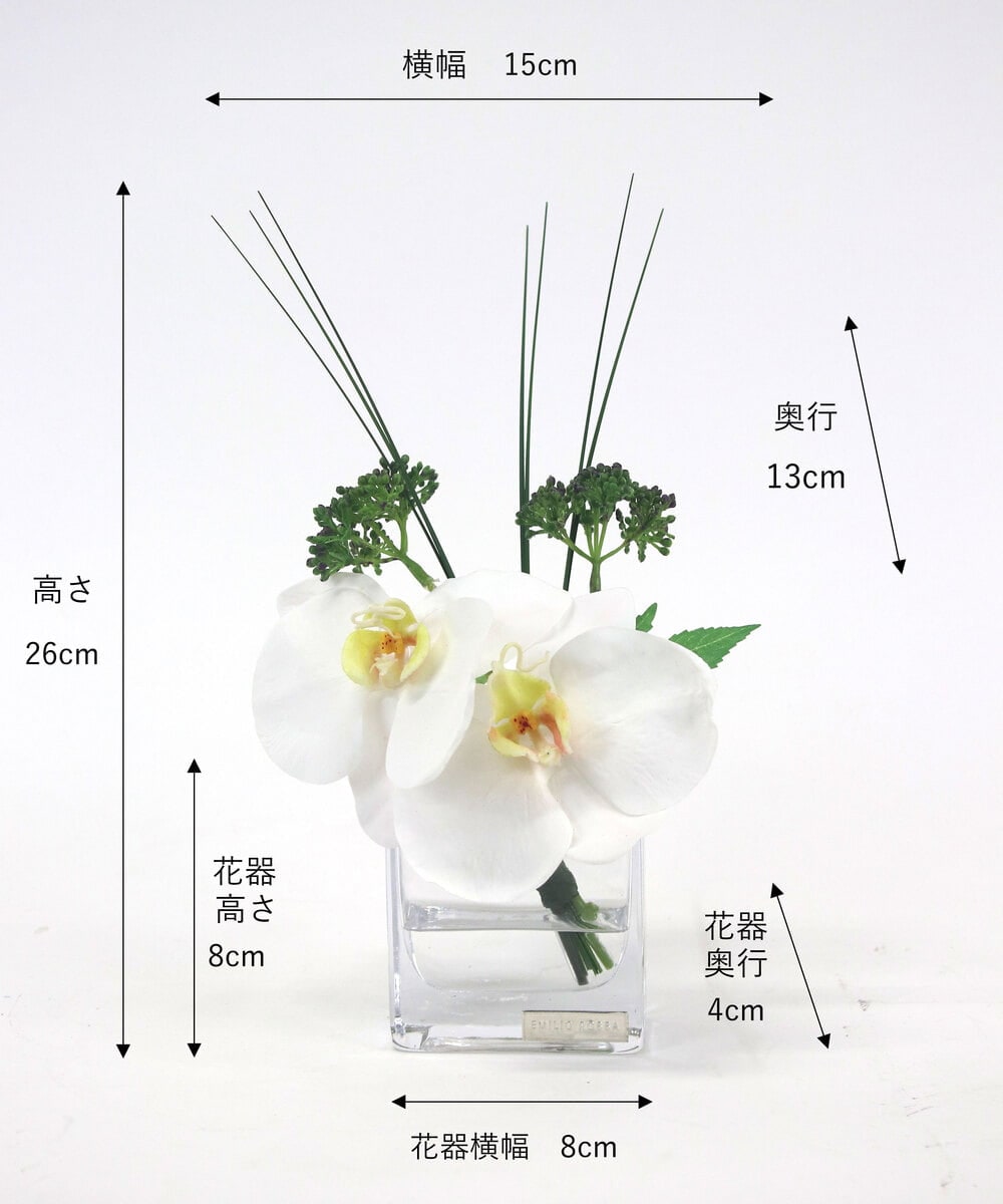TTNTA51050 EMILIO ROBBA(エミリオ ロバ) ファレノプシスXS その他