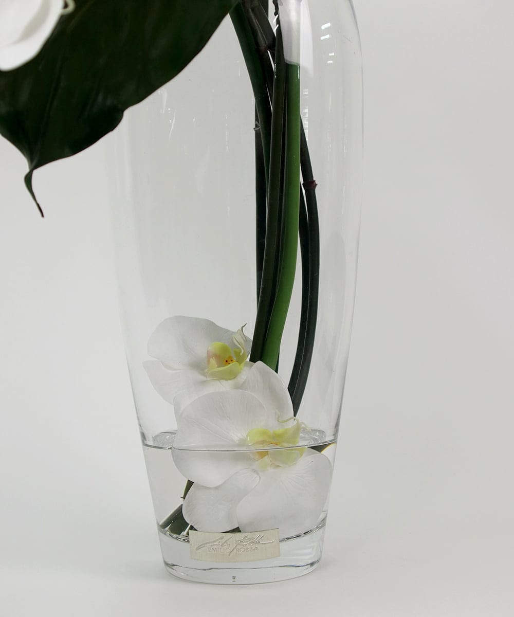 TTNTA53600 EMILIO ROBBA(エミリオ ロバ) ファレノプシスXL その他