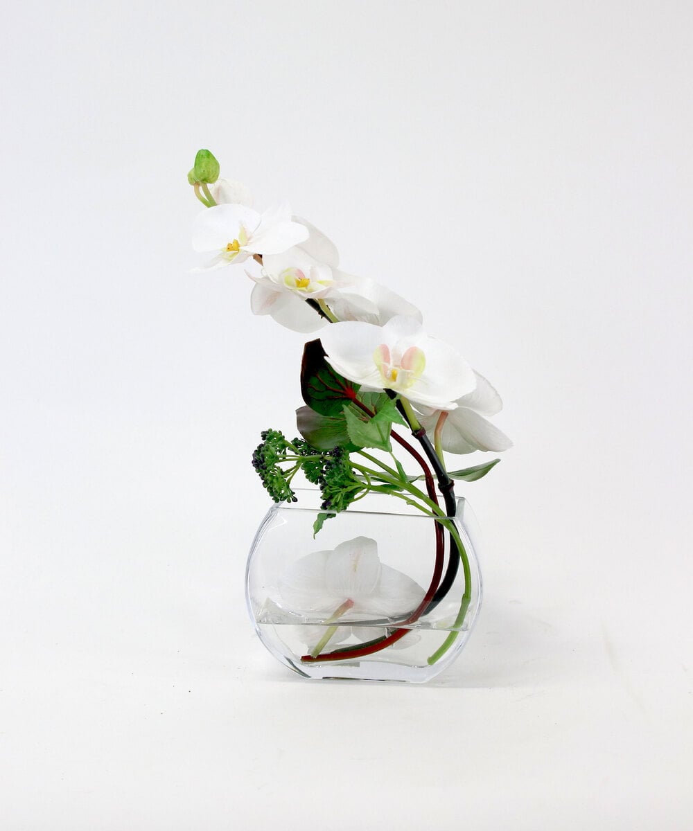 TTNTA55150 EMILIO ROBBA(エミリオ ロバ) ファレノプシスS-b その他