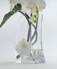 TTNTA56300 EMILIO ROBBA(エミリオ ロバ) ファレノプシス4L その他