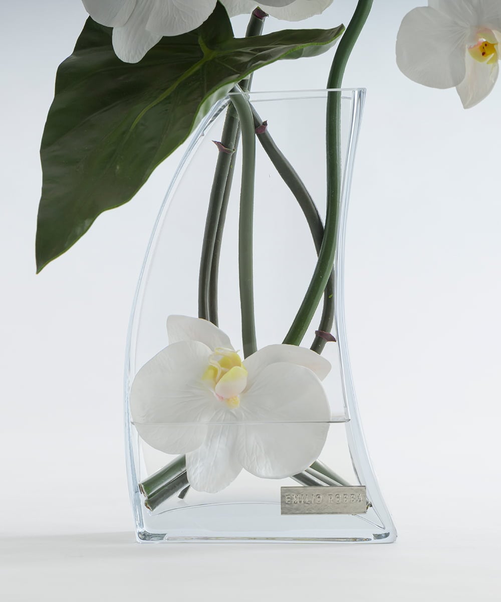 TTNTA56300 EMILIO ROBBA(エミリオ ロバ) ファレノプシス4L その他