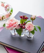 TTNTA61080 EMILIO ROBBA(エミリオ ロバ) プリマローズpk-3W その他