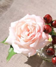 TTNTA61080 EMILIO ROBBA(エミリオ ロバ) プリマローズpk-3W その他