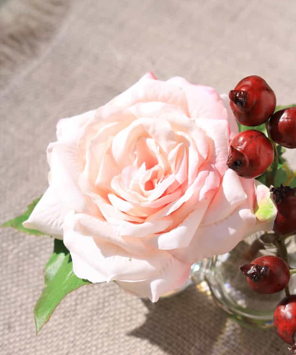 TTNTA61080 EMILIO ROBBA(エミリオ ロバ) プリマローズpk-3W その他