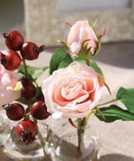 TTNTA61080 EMILIO ROBBA(エミリオ ロバ) プリマローズpk-3W その他