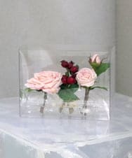 TTNTA61080 EMILIO ROBBA(エミリオ ロバ) プリマローズpk-3W その他