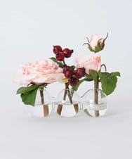 TTNTA61080 EMILIO ROBBA(エミリオ ロバ) プリマローズpk-3W その他