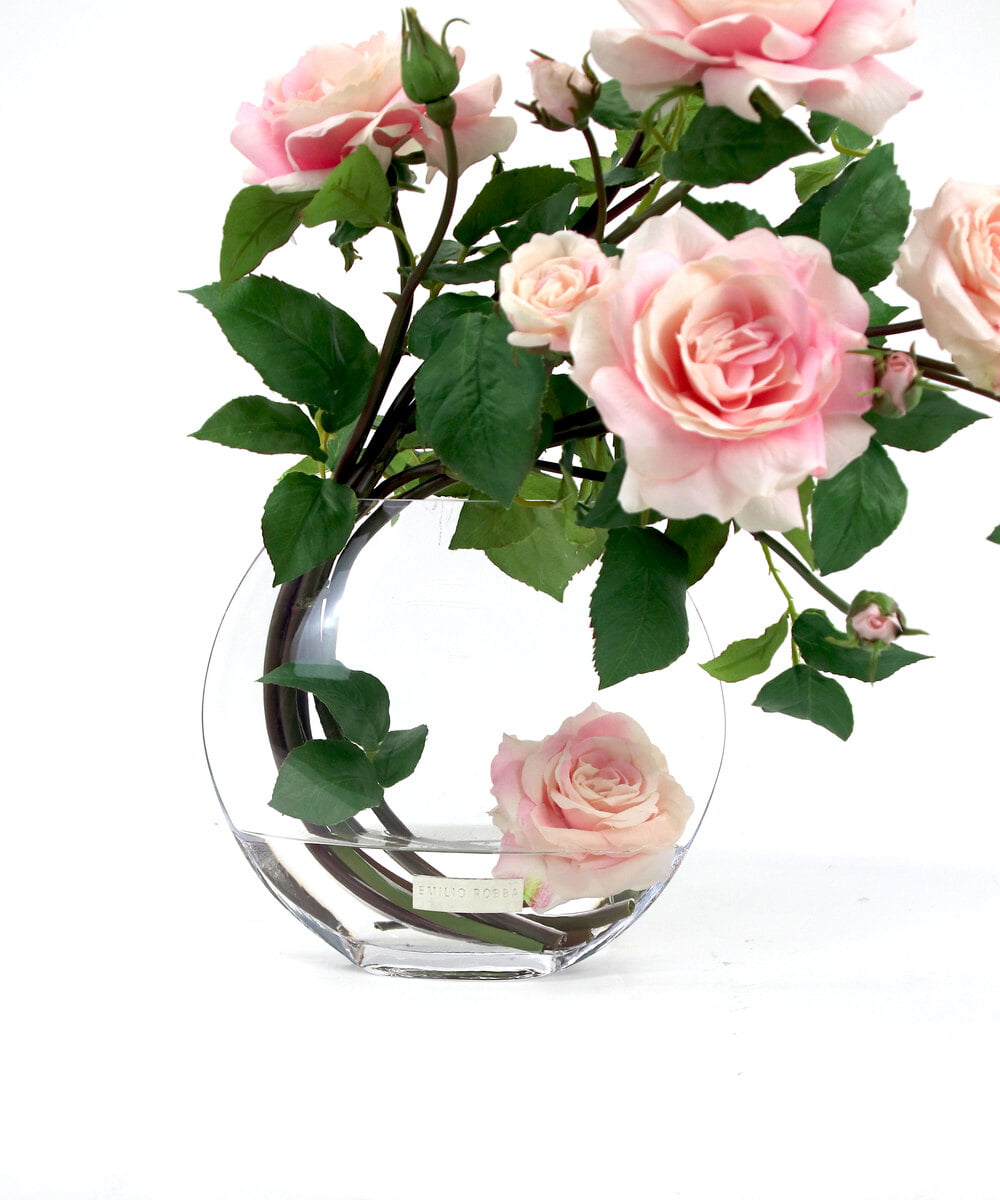 TTNTA63300 EMILIO ROBBA(エミリオ ロバ) プリマローズpk-3L その他