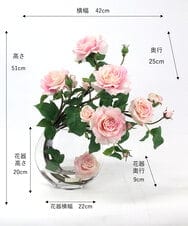 TTNTA63300 EMILIO ROBBA(エミリオ ロバ) プリマローズpk-3L その他