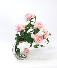 TTNTA63300 EMILIO ROBBA(エミリオ ロバ) プリマローズpk-3L その他