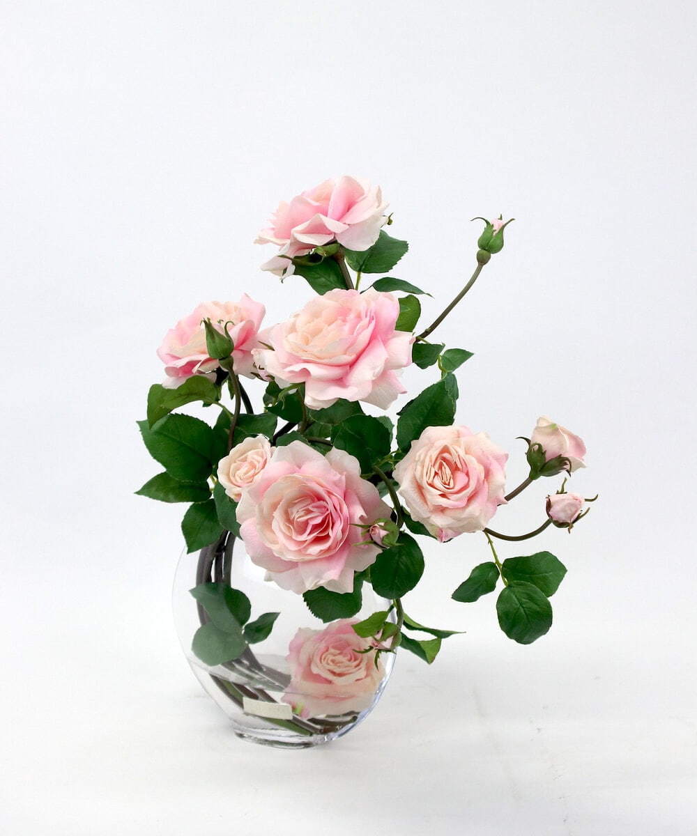 TTNTA63300 EMILIO ROBBA(エミリオ ロバ) プリマローズpk-3L その他