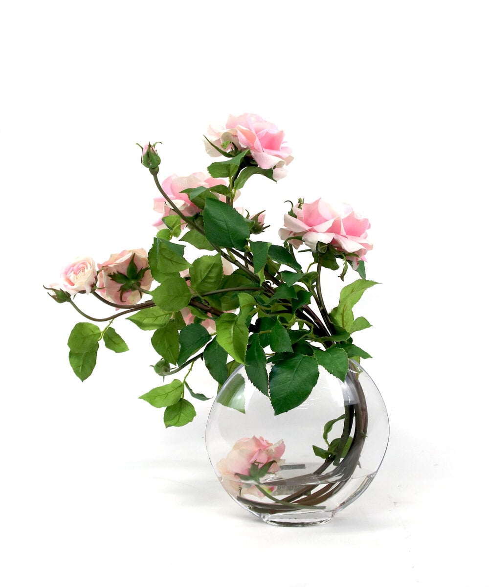 TTNTA63300 EMILIO ROBBA(エミリオ ロバ) プリマローズpk-3L その他