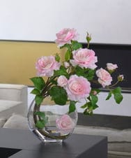 TTNTA63300 EMILIO ROBBA(エミリオ ロバ) プリマローズpk-3L その他