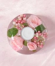 TTNTA67100 EMILIO ROBBA(エミリオ ロバ) キャンドルホルダープリマローズpk その他