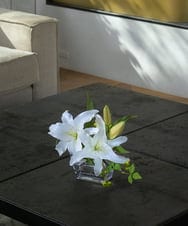 TTNTA90200 EMILIO ROBBA(エミリオ ロバ) カサブランカ2L その他