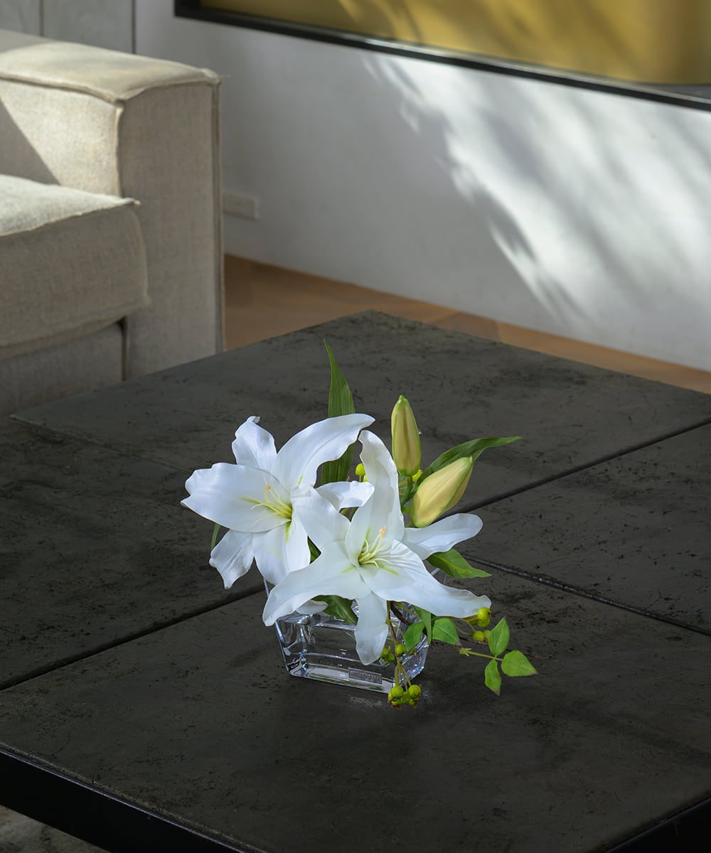 TTNTA90200 EMILIO ROBBA(エミリオ ロバ) カサブランカ2L その他