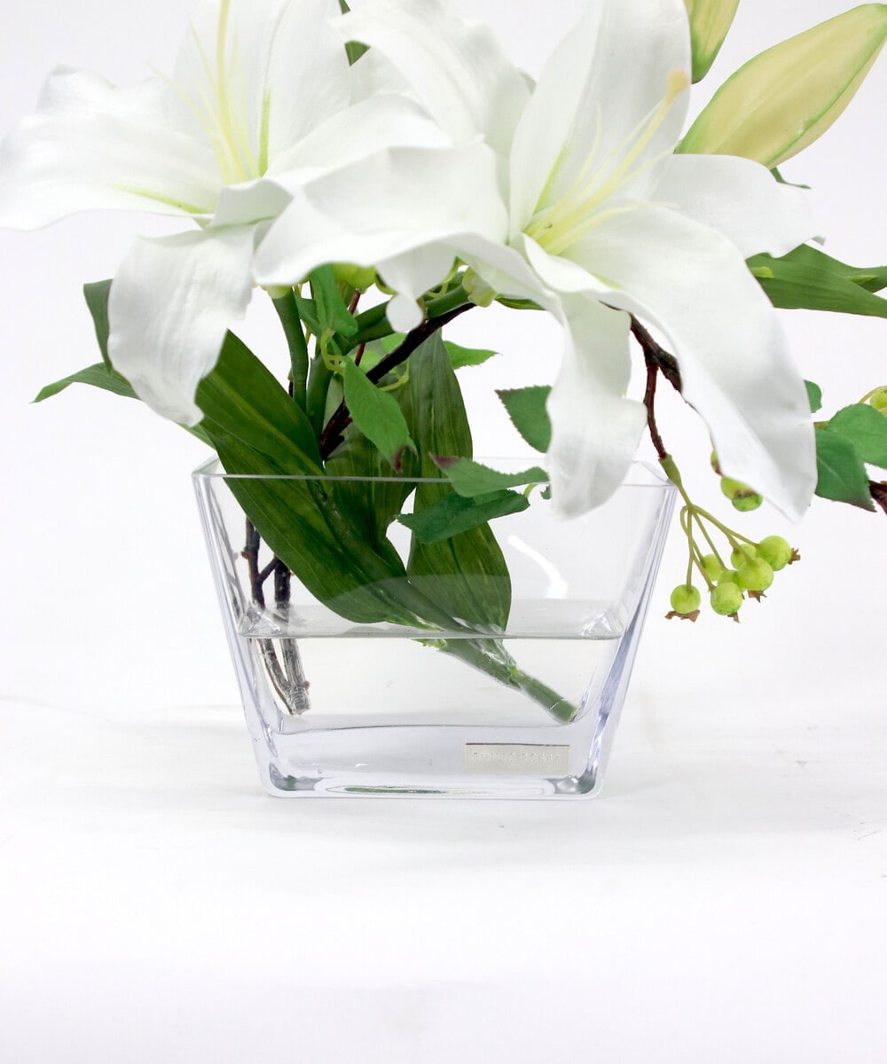 TTNTA90200 EMILIO ROBBA(エミリオ ロバ) カサブランカ2L その他