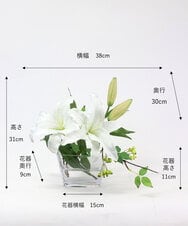 TTNTA90200 EMILIO ROBBA(エミリオ ロバ) カサブランカ2L その他